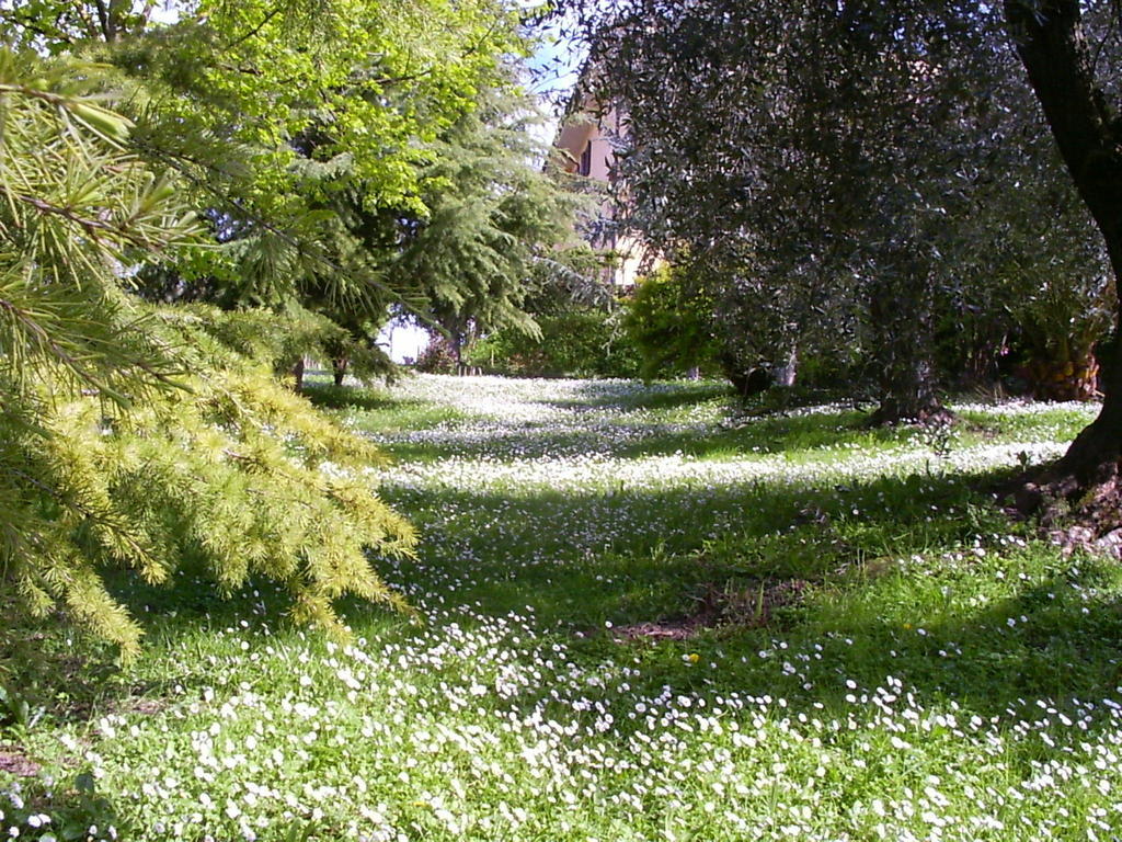 La Vecchia Quercia Bed and Breakfast Selci  Buitenkant foto